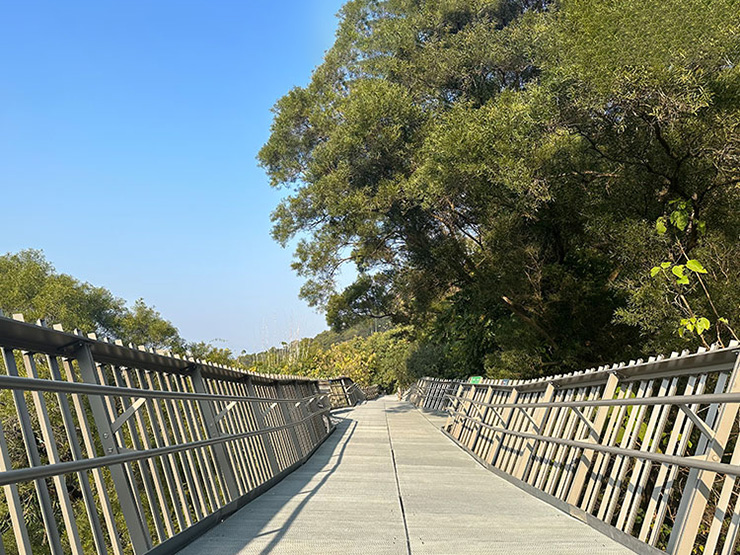 Chinesischer Fuzhou City Forest Pavement